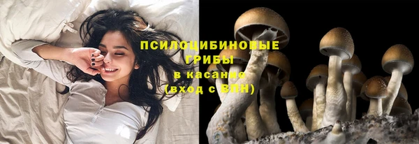 шишки Богородицк