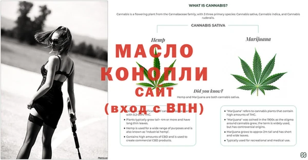 эйфоретик Белоозёрский