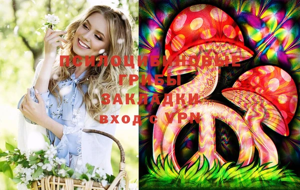 эйфоретик Богданович