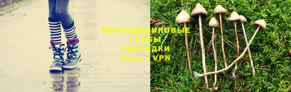 эйфоретик Богданович